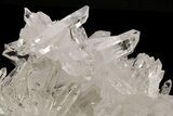 Phenomenally Clear Quartz Crystal Cluster - Brazil #212485-4